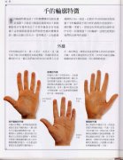 《手相学习百科》：手的轮廓特征