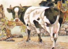 1985年的生肖牛是什么命？